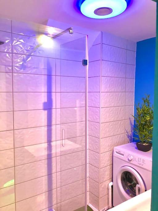 Le Led Room,Centre Ville Place De Parking Gratuite Sens Dış mekan fotoğraf
