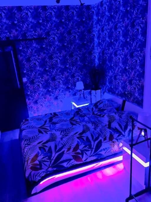 Le Led Room,Centre Ville Place De Parking Gratuite Sens Dış mekan fotoğraf